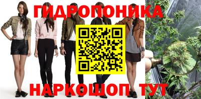 трава Северобайкальск